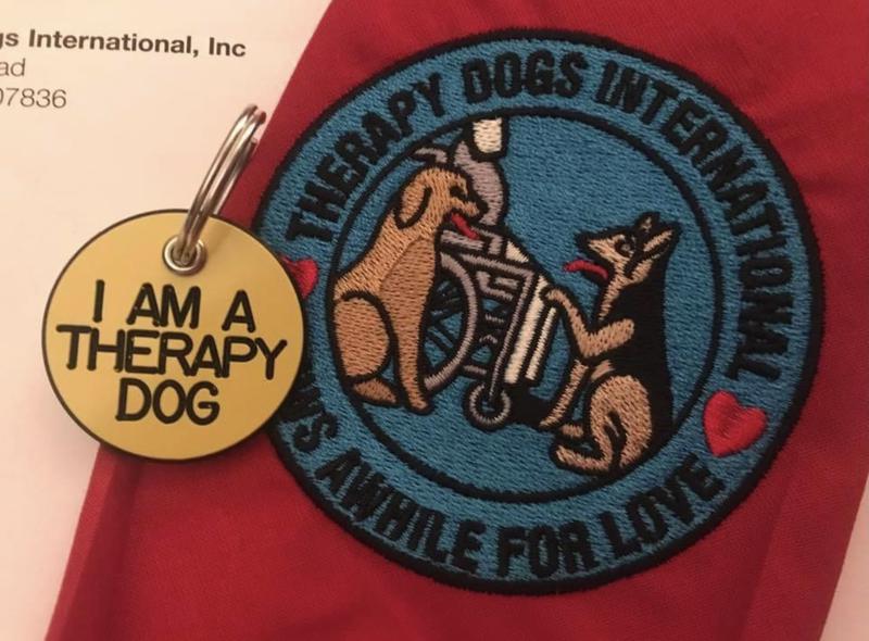 Dog Therapy Training NC Dog Therapy Training by Camelot House Golden